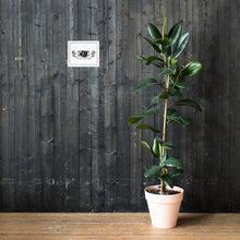 Load image into Gallery viewer, Flat 6 Club Framed poster