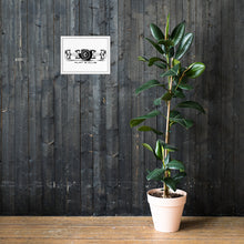 Load image into Gallery viewer, Flat 6 Club Framed poster